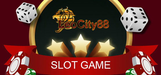 LEOCITY88